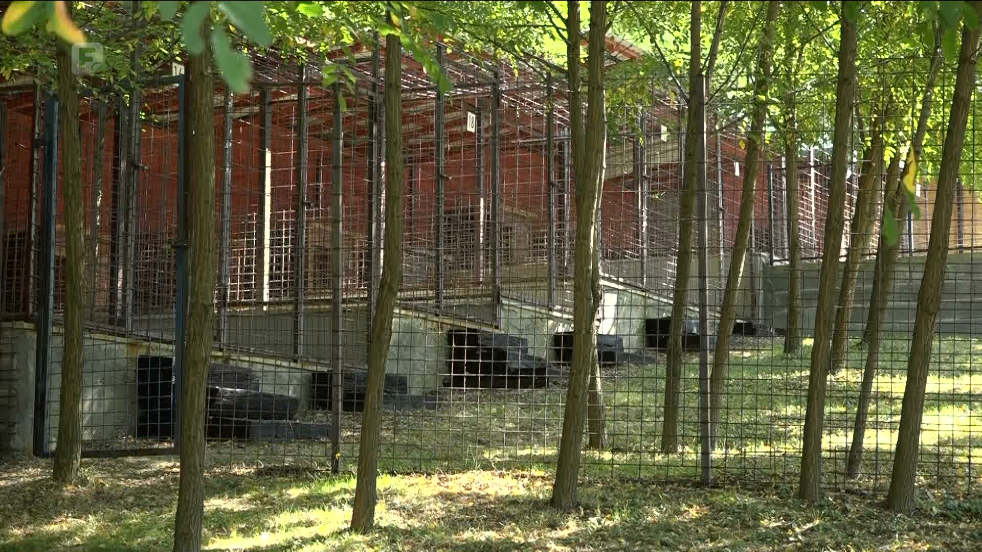U TK otvoreno prvo registrovano sklonište za napuštene pse